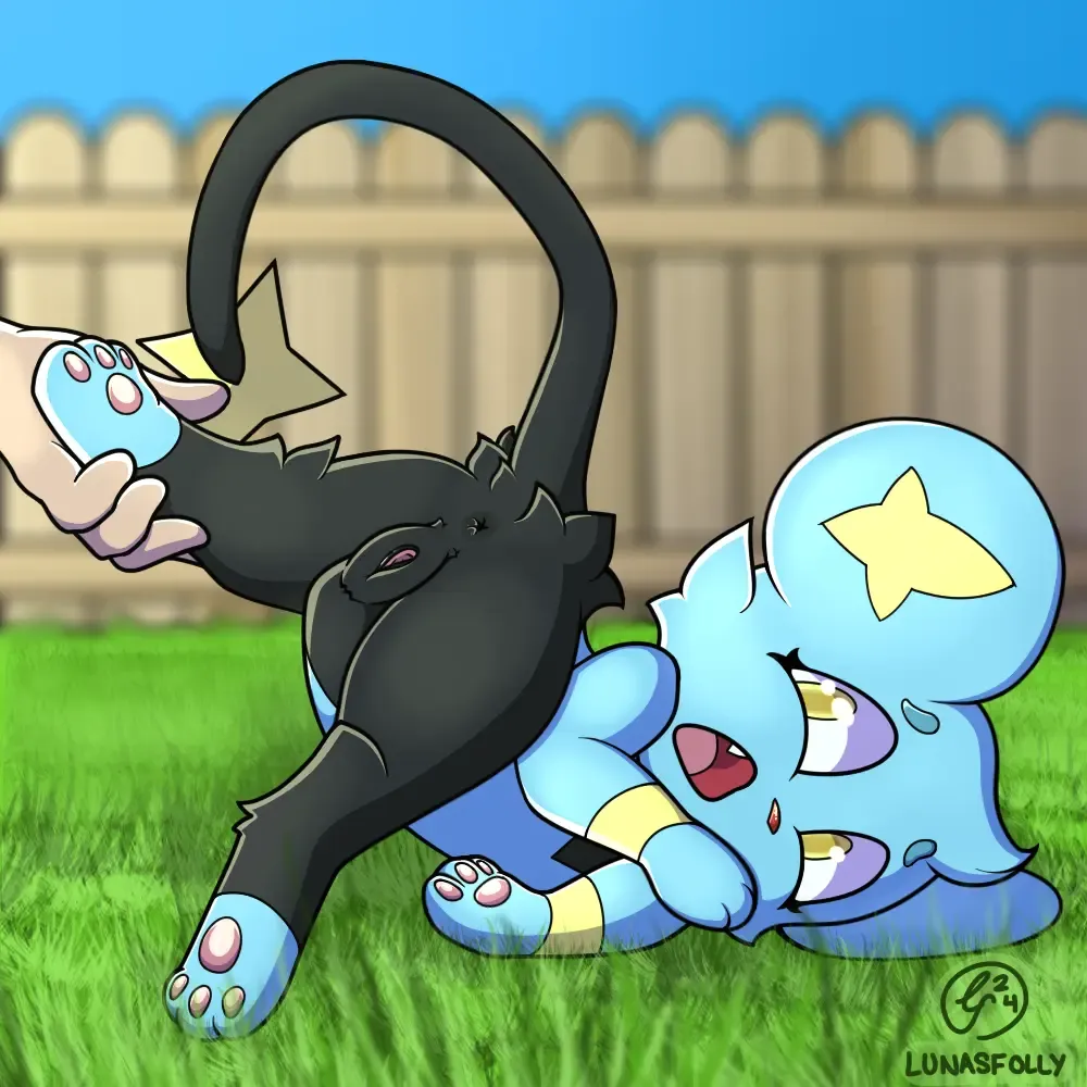 shinx shinx