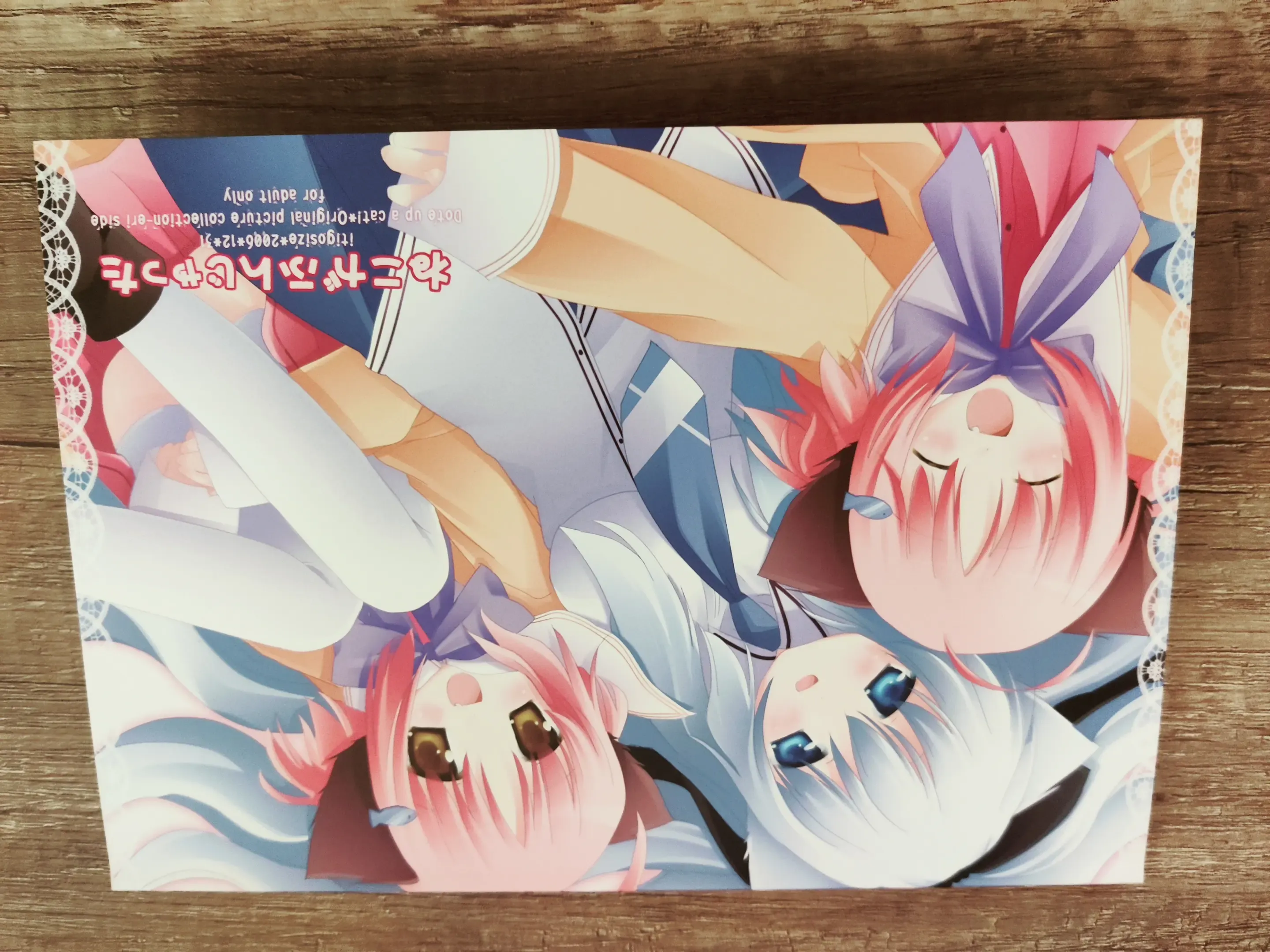 ネコっかわいがり! Original Picture And Rough Sketches Book