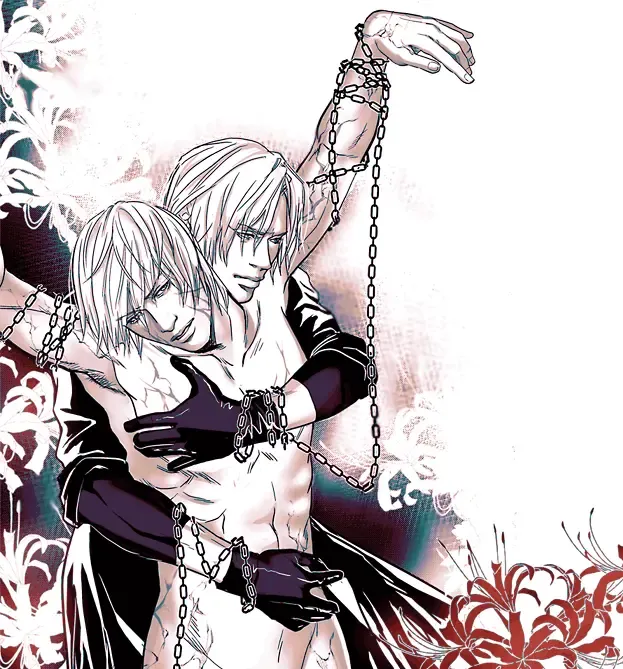 Image Set